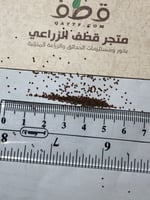 جملة بذور الرقروق المغذية للكمأة أو الفقع