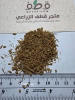 بذور شجيرة العاذر شيح الحصى البري