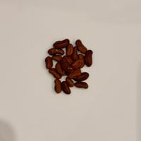 بذور الفاصوليا الحمراء الطويلة