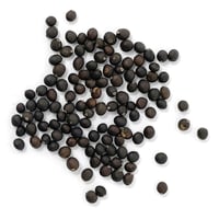 جملة 500 بذرة من الميرامية عريضة الأوراق