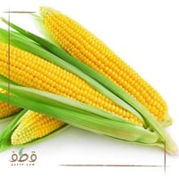 بذور الذرة صفراء F1