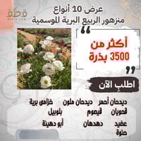 عرض لمجموعة من بذور الربيع الموسمية