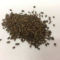 بذور شجيرة سنا الصينية . سنا المنجل