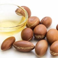 بذور الاركان ( ارغان )