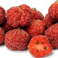 بذور فاكهة تشي