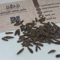 بذور شجرة المرخ العطرية