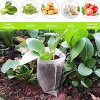 10 اكياس عضوية للإستنبات