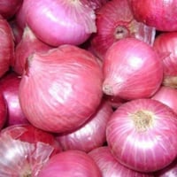 بذور البصل الهندي