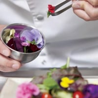 مجموعة بذور أزهار صالحة للأكل