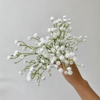 جملة 5000 بذرة من زهرة جيبسوفيلا