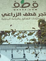 بذور اللافندر - الضرم البري