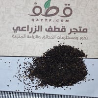 بذور الديدحان متعدد البتلات الملون شقائق النعمان