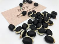 الفاصوليا السوداء - منتج عضوي