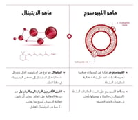 مجموعة سيول 1988 للتجديد الكوري الفاخر