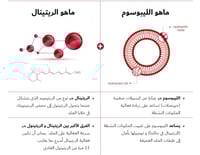 كريم سيول 1988 المجدد من كي سيكريت بالريتينال اللي...