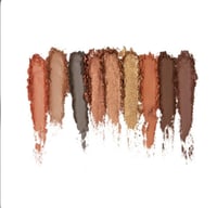 انجلوت باليت ظلال العيون كوبر امبيشن 9 الوان