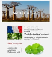 سكين 1004 مدغشقر سينتيلا وكريم مهدئ 75 مل