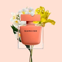 عطر نرسيسو رودريغز نرسيسو عنبر او دو بارفيوم 50مل