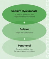 تونر الصبار المهدئ للبشرة من اسنتري 200مل