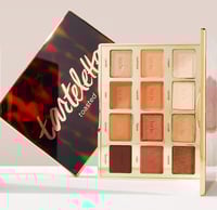 مجموعة ظلال عيون تارتليت تويستد TARTELETTE TOASTED...