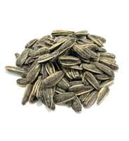 حب دوار الشمس