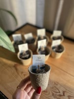 توزيعات اليوم الوطني