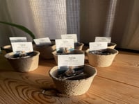 توزيعات اليوم الوطني