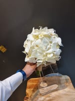 مسكة عروس شامل اللوقو 0991