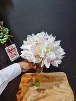 مسكة عروس شامل اللوقو 0884