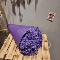 باقة جيبسفوليا طبيعي