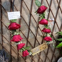 عقد ورد طبيعي