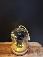 ورد يدوم سنة بفازة مضيئة w131