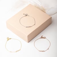 سوار الربيع