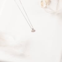 سلسال خروف العيد