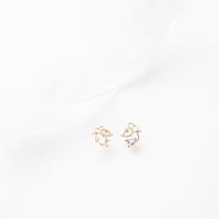 حلق الفأر الأنيق