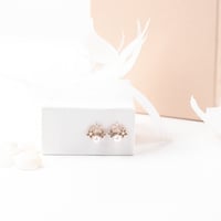 حلق عالم الزهور