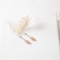 حلق أوراق الشجر