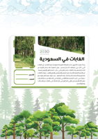 مطوية الغابات في السعودية