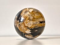 كرة من الخشب الأحفوري