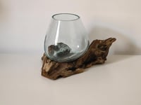 مزهرية زجاجية شفافة مصنوعة يدويًا مع قاعدة خشبية