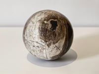 كرة من الخشب الأحفوري