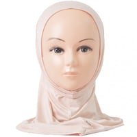 68-مشمشي فاتح