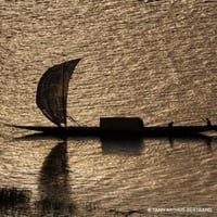 تسترجيرلان ابسولو اليغوريا سانتال رويال او دي بارف...