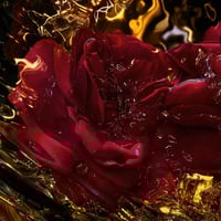 عطر غيرلان ابسلوس اليغوريا روز أميرا او دو بارفيوم...