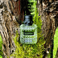 عطر دونا بورن ان روما جرين سترافغانزا من فالنتينو...