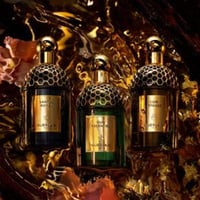 عطر غيرلان ابسولو اليغوريا سانتال رويال او دي بارف...