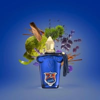 عطر كاساموراتي مانفيستو من زيرجوف او دو بارفيوم 10...