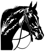 استينسل خيل ( 12 )