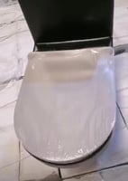 كرسي حمام افرنجي اسود مطفي مقاس 25 سم