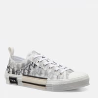 Dior B23 LOW Top